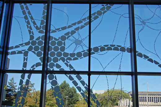 Inside looking out: Here, we see the window artwork of brain cells from inside the Centre for Brain Health.