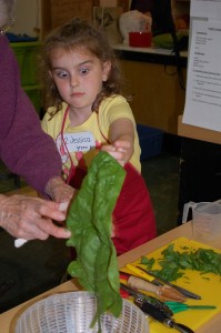 farm-to-school-064-(3)