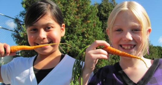 Harvesting and snacking on carrots at the Edible Garden Project's Fed Up program - North Van.