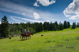 Fudd was a farmer and businessman before he retired. What he really wanted was to be a cowboy. Happy trails Fudd! 