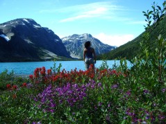 Summer in Bella Coola